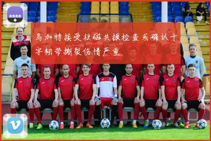 乌加特接受核磁共振检查或确认十字韧带撕裂伤情严重