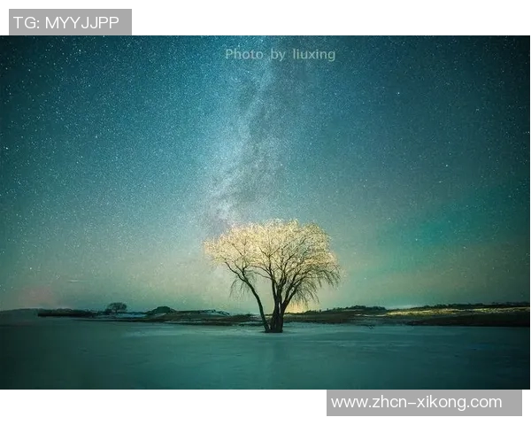 平静的圣诞夜没有惊喜与喧嚣让人感受到宁静的节日氛围